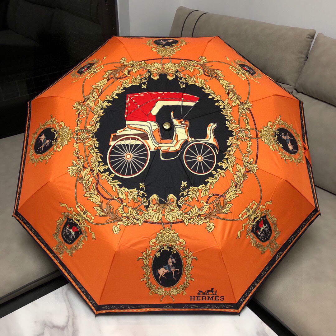 hermes umbrella